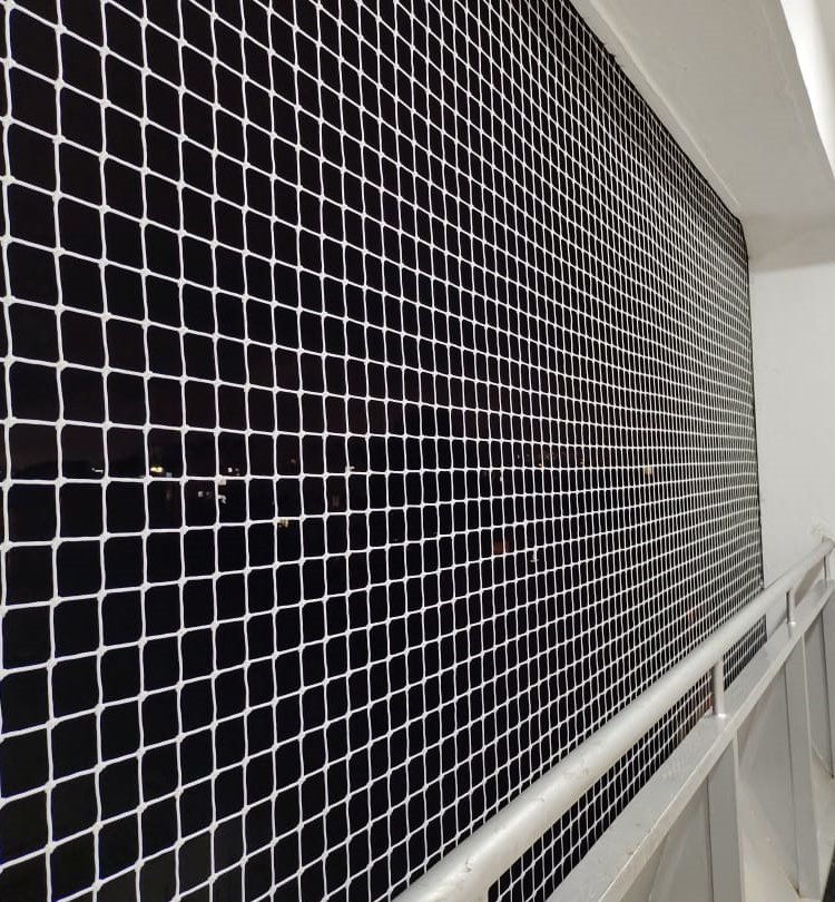 Pigeon safety netting options for balconies, windows and apartments from Jashuva Safety Nets